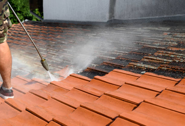 Best Deck Cleaning Services  in Fortuna, CA
